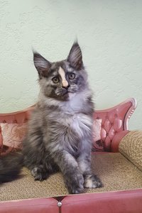 Юлжина