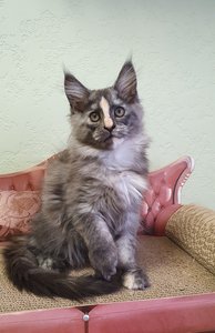 Юлжина